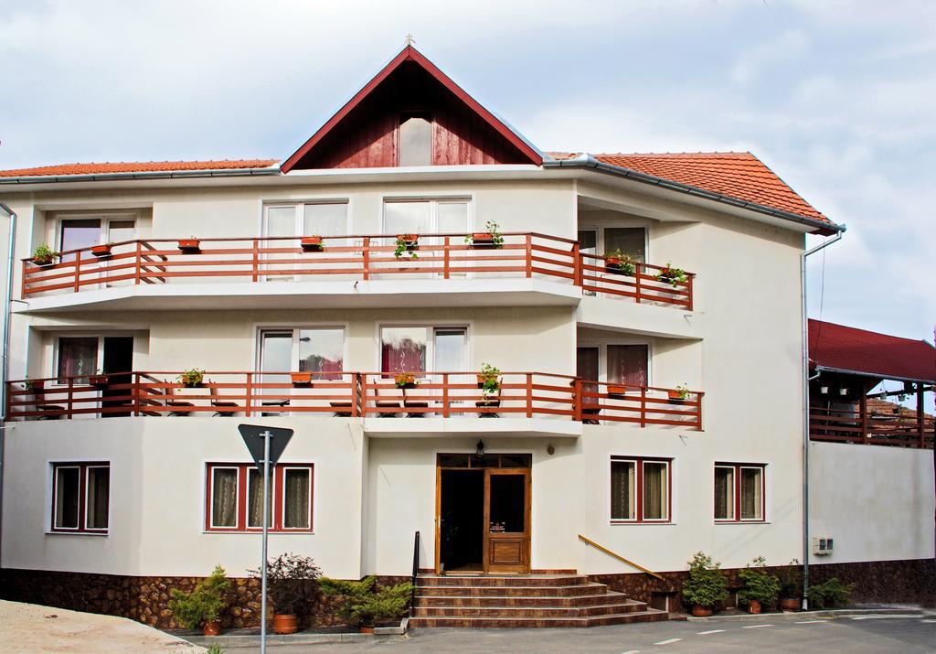 Vila Mihu Otel Geoagiu Băi Dış mekan fotoğraf